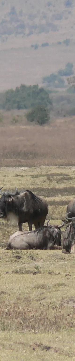 Übernachten am Kraterrand des Ngorogoro